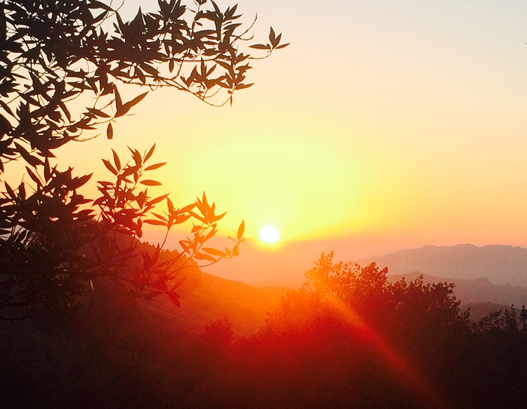 Sunrise on the Best of the Bay Double Century