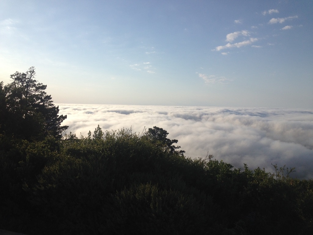 2015 MT Mt. Tam